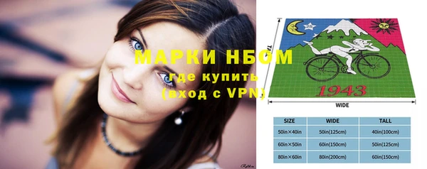 мет Няндома