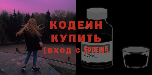 мет Няндома