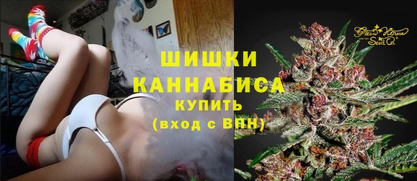 мет Няндома