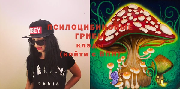 мет Няндома