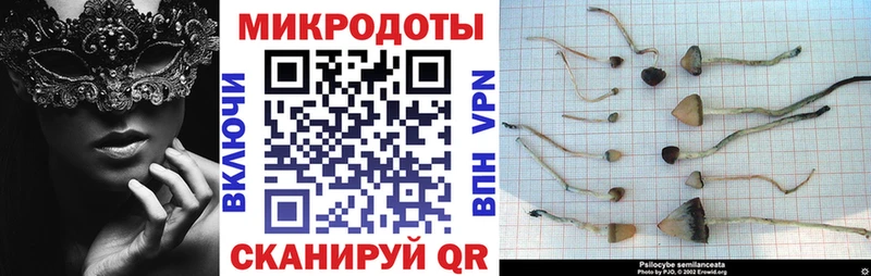 Псилоцибиновые грибы мухоморы  Холмск 